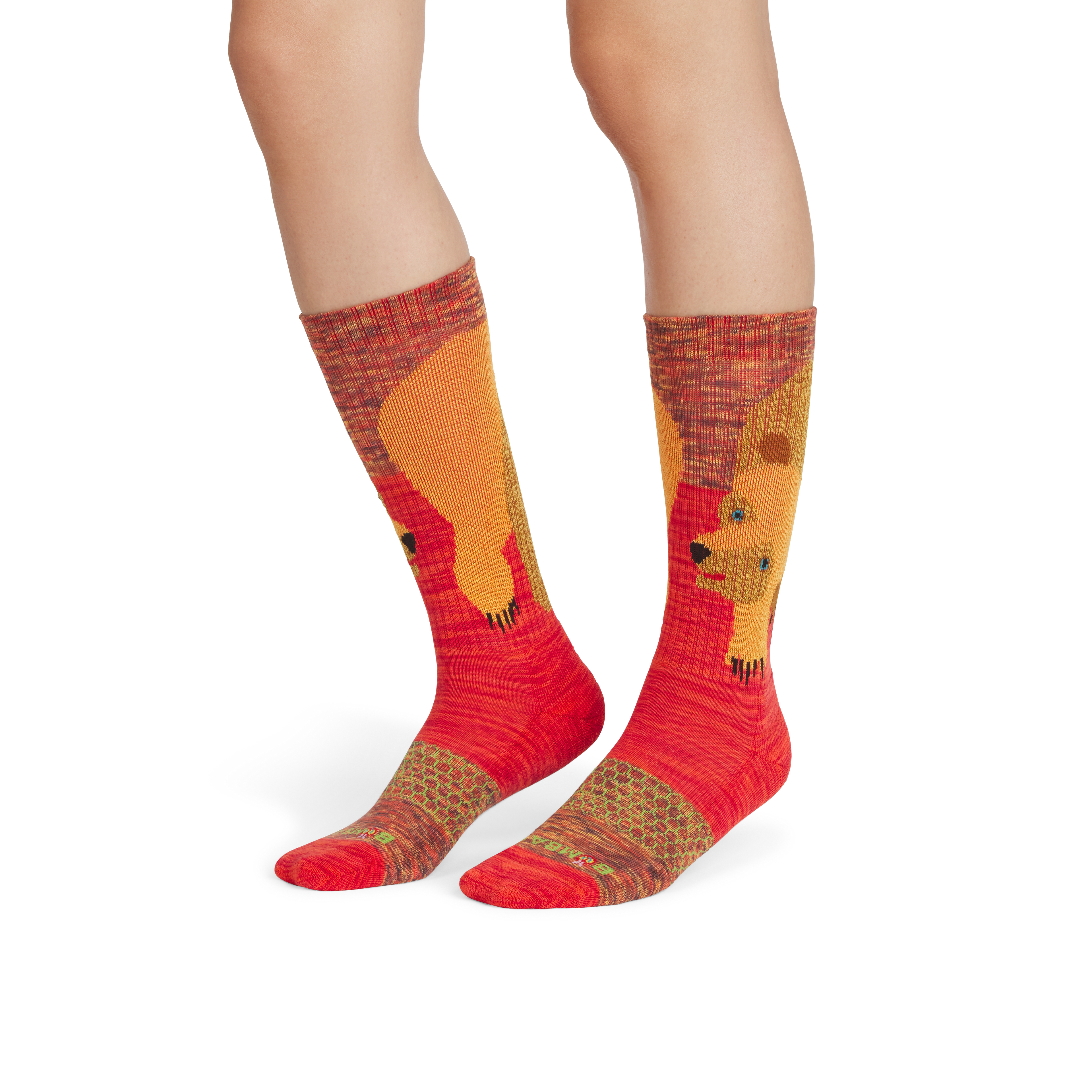Eric Carle Big Brown Bear Calf Socks - brown bear WO1 [5293]